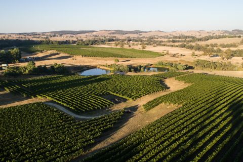 Tumbarumba's Courabyra vineyard before the fires
