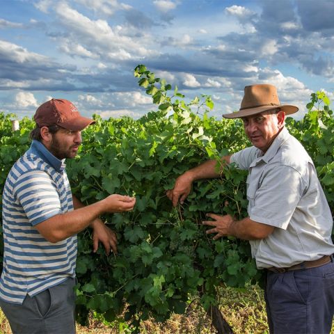 Bertie and Hennie Coetzee of Lowerland in their vineyards