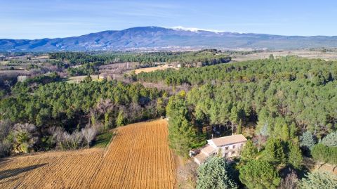 Domaine Childeric in Ventoux
