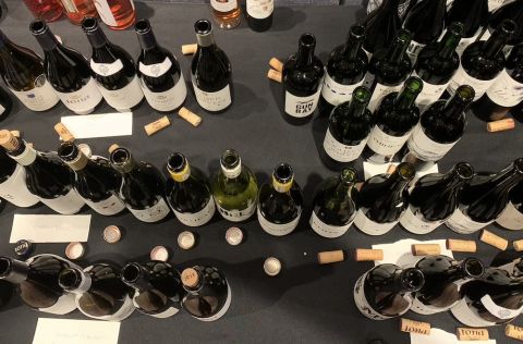 Overhead photo of South African wine bottles