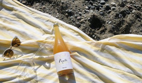 a Sunday in August piquette image on the beach