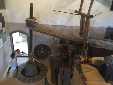 I Vigneri palmento screw press. Still in use...