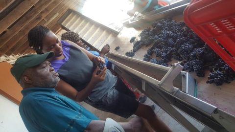 Jeanne Vito and father at the Springfontein grape reception