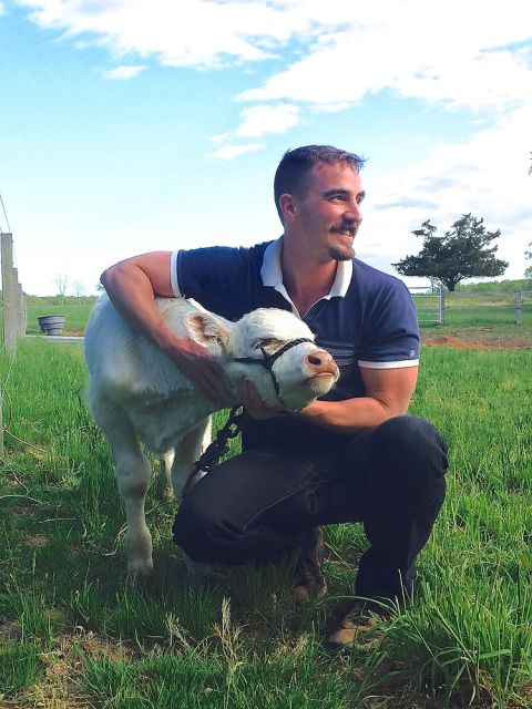 McCall - Brewster with calf (photo by Gianna Volpe)