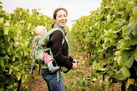 Ngeringa - Janet Klein