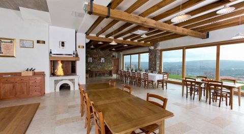 Rodica's sustainably built tasting room