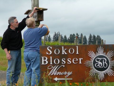 Sokol Blosser - nesting boxes