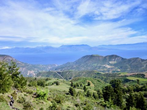 A view from Tetramythos vineyards
