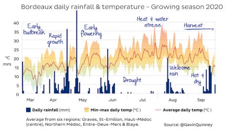 Bordeaux daily rainfall and temperature chart 2020