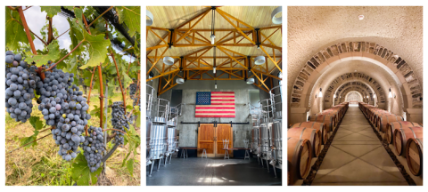 Vines and wines at RdV