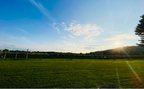 Walsh Family Wines, VA, USA