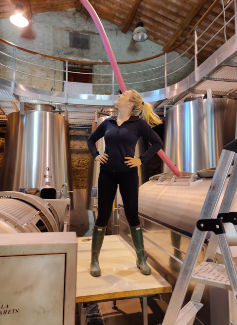 Vintage 2020 at Ch St-Jacques d'Albas