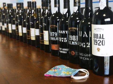 At Blandy's Wine Lodge – tasting in the time of COVID