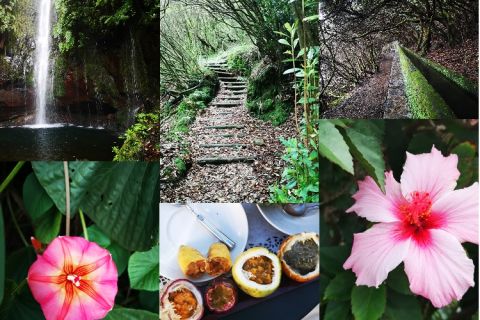 Maderia vivid, levadas, flowers and fruit