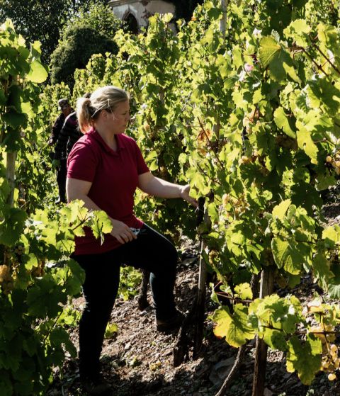 Dorothee Zilliken by Andreas Durst