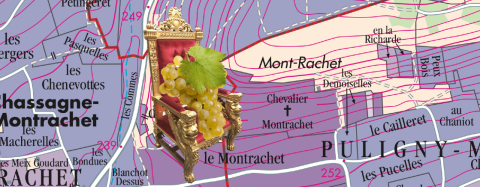 Throne on map of Montrachet vineyard