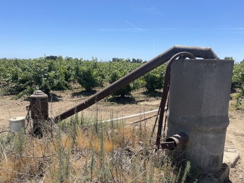 WWC21 McCage M - Irrigation at Ray Road