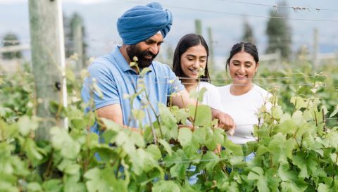 Karmail, Okanagan viticulturist