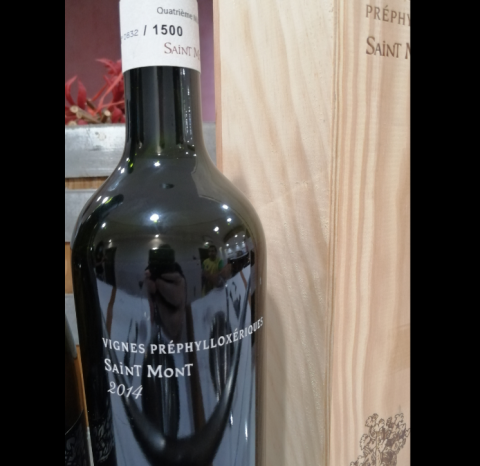 WWC21 McGrath H - Pré-Phylloxerique