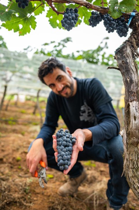 Ramon Escobar of Chufly Imports