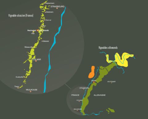 Schieferkopf vineyards