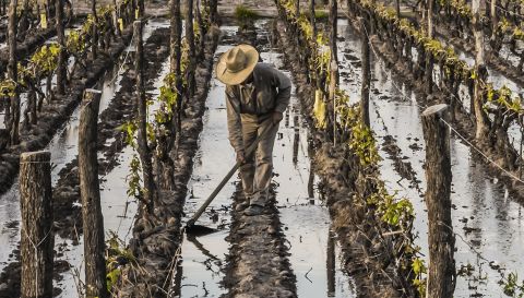 WWC21 Catena A - Lunlunta old-vine Malbec vineyards flooding