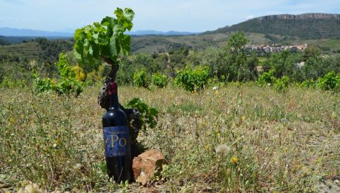 WWC21 Curovic S - Garnaxa del Po, Priorat 1