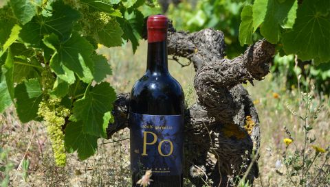 WWC21 Curovic S 1 - Garnaxa del Po old vine Clos93