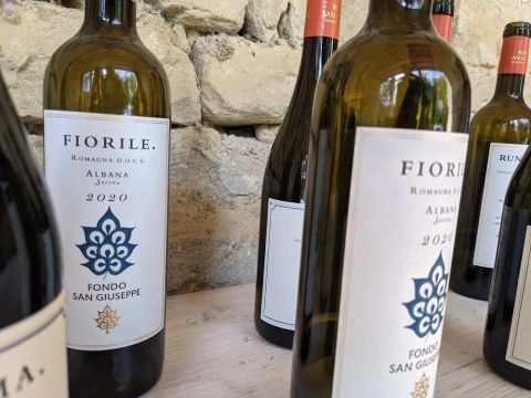 WWC21 Kis H - Fiorile Albana from Fondo San Giuseppe