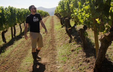 WWC21 Kopman L - Jeff Vejr in the Charles Coury vineyard