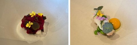 Forest side course 4 beetroot and cod's roe and 5 langoustine and confit egg