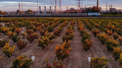 WWC21 Howard C - Evangelho train