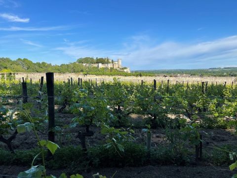 WWC21 Rothery M - Clos des Capucins castle and vineyard