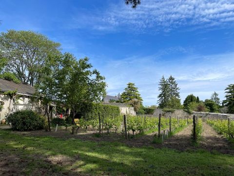 WWC21 Rothery M - Clos des Capucins walls of the clos