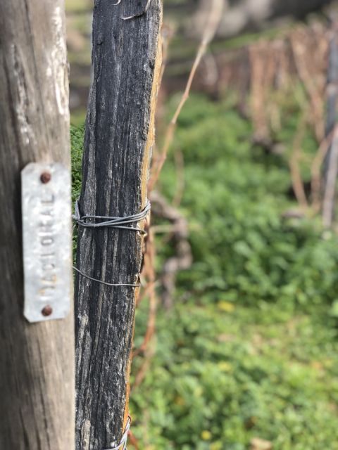 WWC21 Shaw H - Quinta do Noval, Nacional