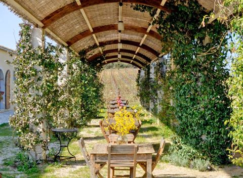 Ambelonas restaurant, Corfu