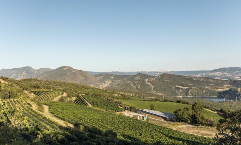 Wine by the winery Castell D'Encús.