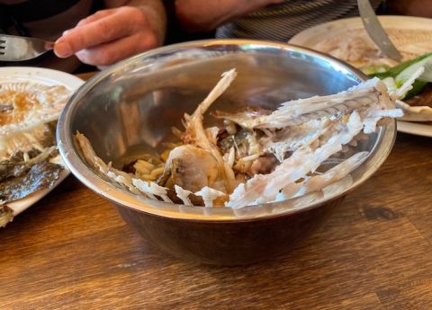 Remains of turbot in Narbonne