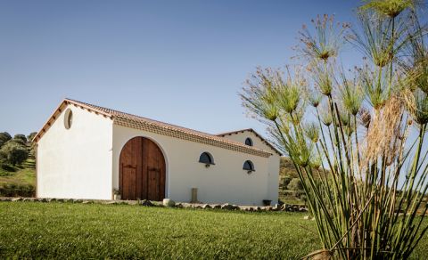 Antonella Corda winery