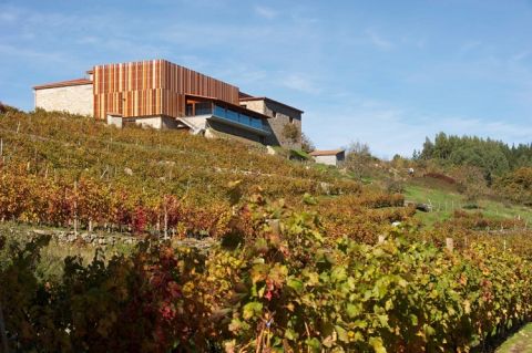 Bodegas Rectoral de Amandi Ribeira Sacra