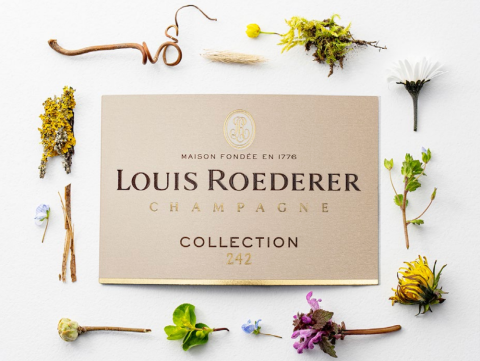 Louis Roederer Collection 242 Champagne for Sale
