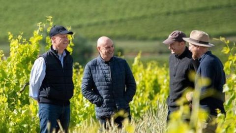 Shaw, Smith, LeMire and Adam in Blewitt Springs Vineyard