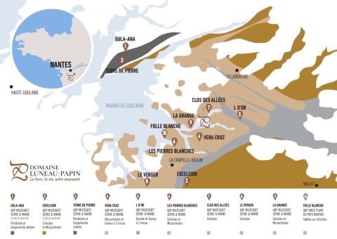 Map of Luneau Papin vineyards in Muscadet