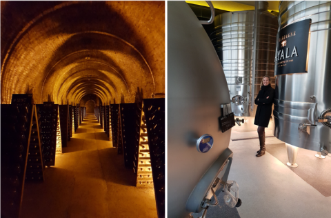 Old and new at Ayala