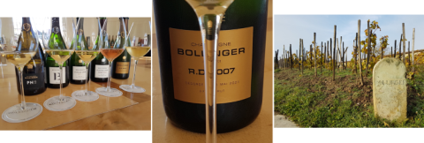 Bollinger line-up