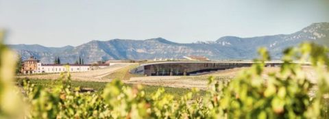 The low-profile, minimal-impact Beronia winery