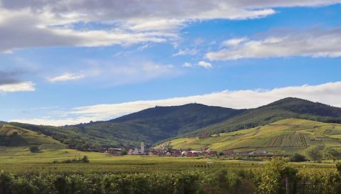 Katzenthal in Alsace