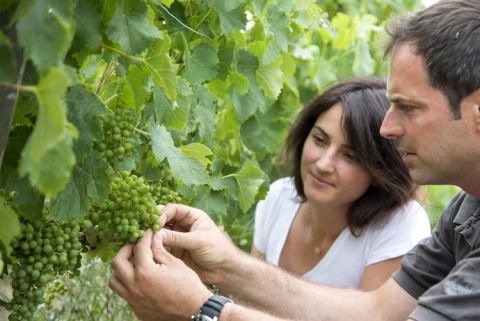 Rachel and Guillaume Hubert of Ch Grolet