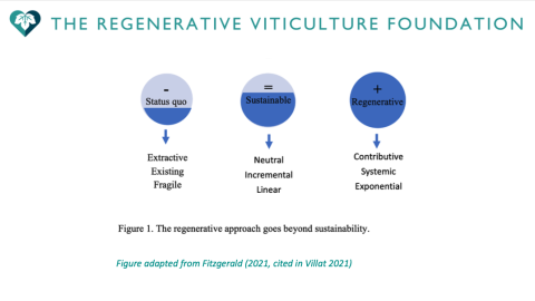 RVF Jessica Villat research slide