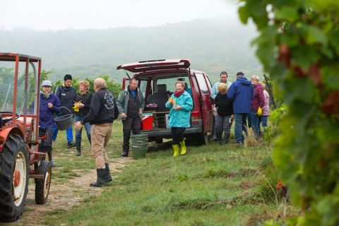 The Becker team at harvest